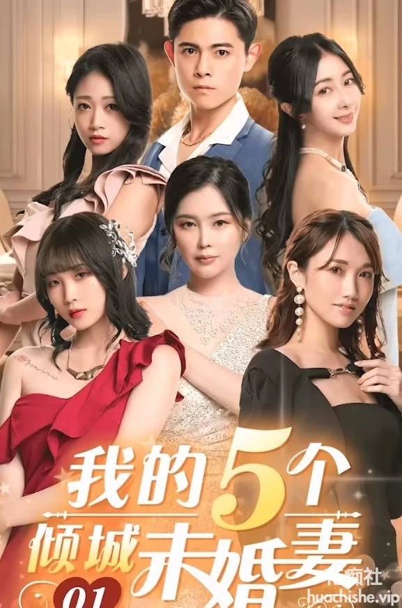 我的5个倾城未婚妻