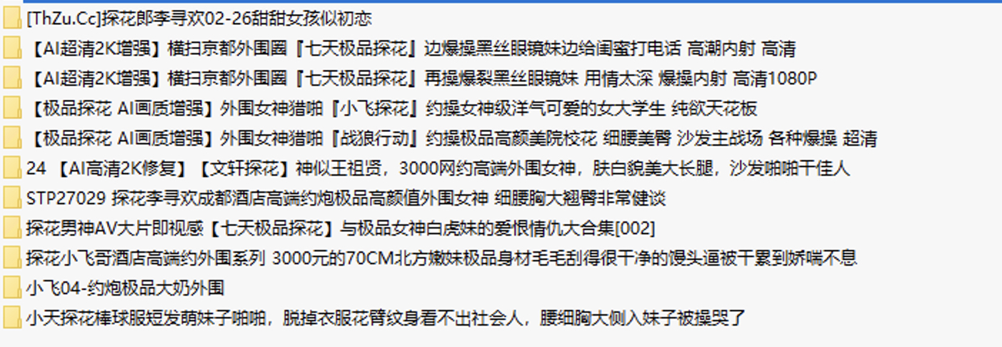 十大极品探花精选 10V+20G [单体合集精彩截图01