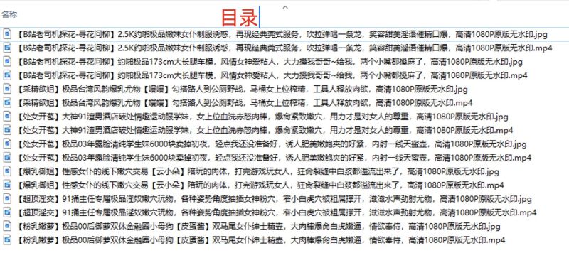 各类视频杂集 8部精彩截图09