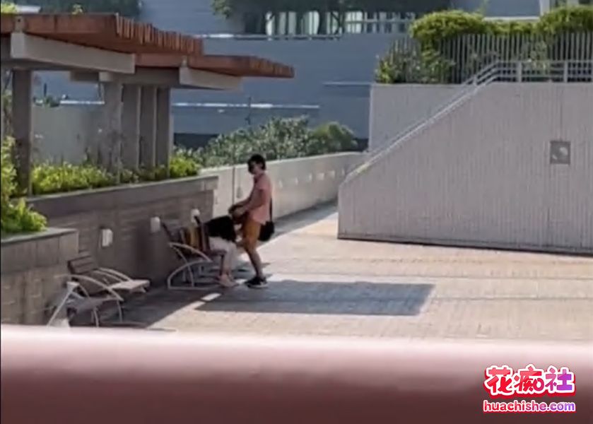 大瓜回顾系列精彩截图04