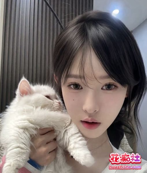 大瓜回顾系列精彩截图10