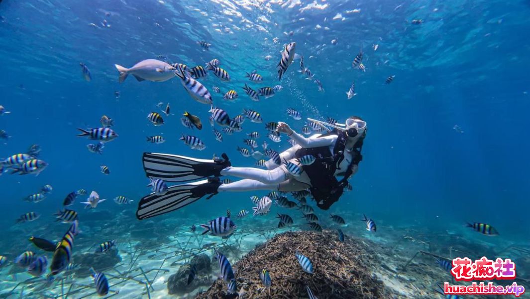 约啪大神「牛战士」