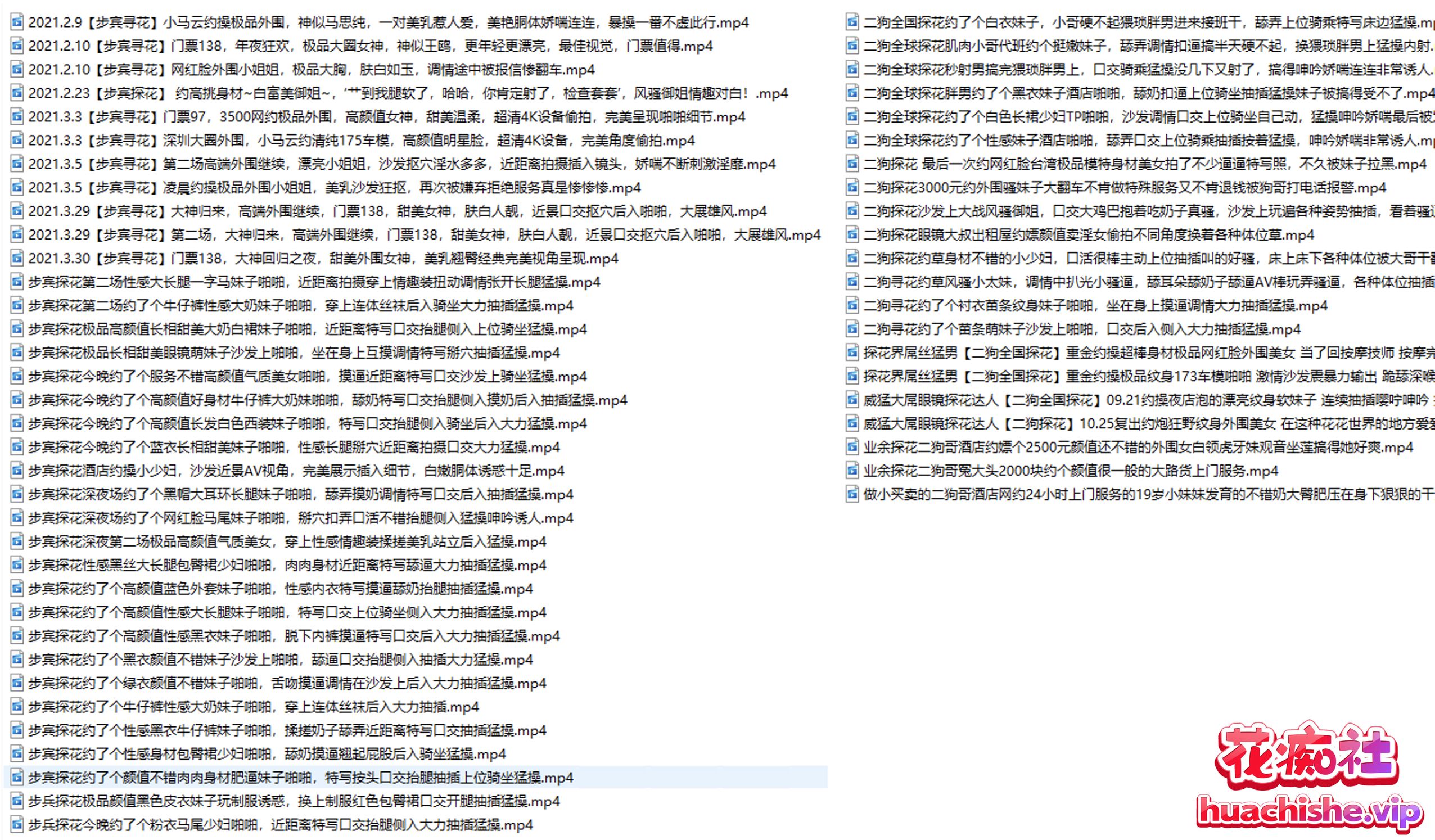 二狗探花/步宾探花