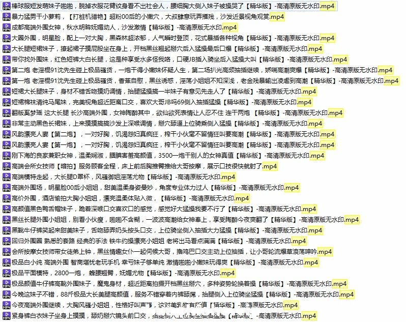 国产多位91AV大神高清自拍精彩截图04