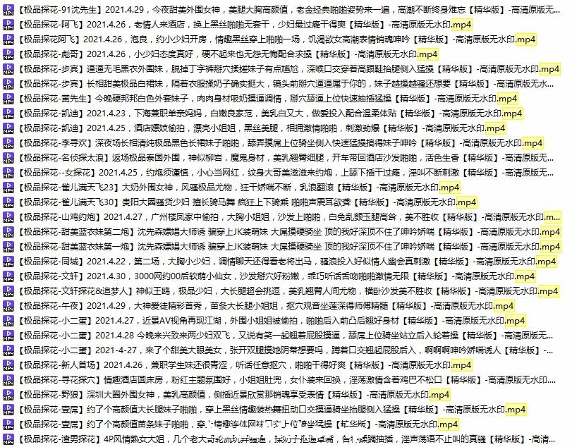 国产多位91AV大神高清自拍精彩截图05