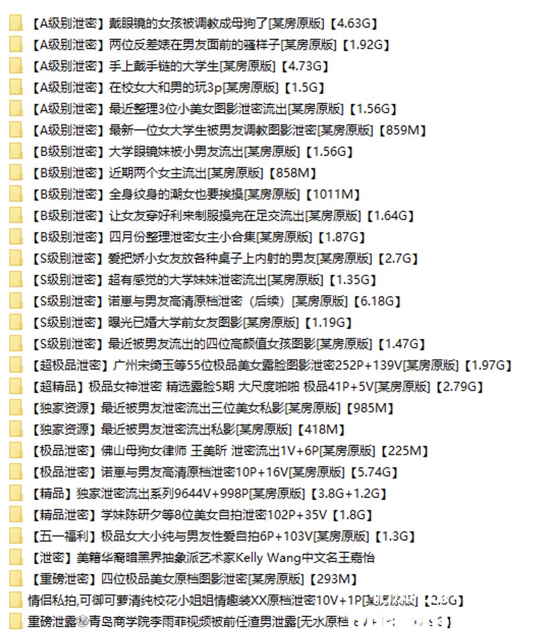 泄密大礼包：A-B-S级别泄密精彩截图25