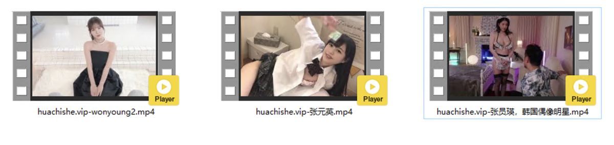 AI换脸张元英 3部视频精彩截图01