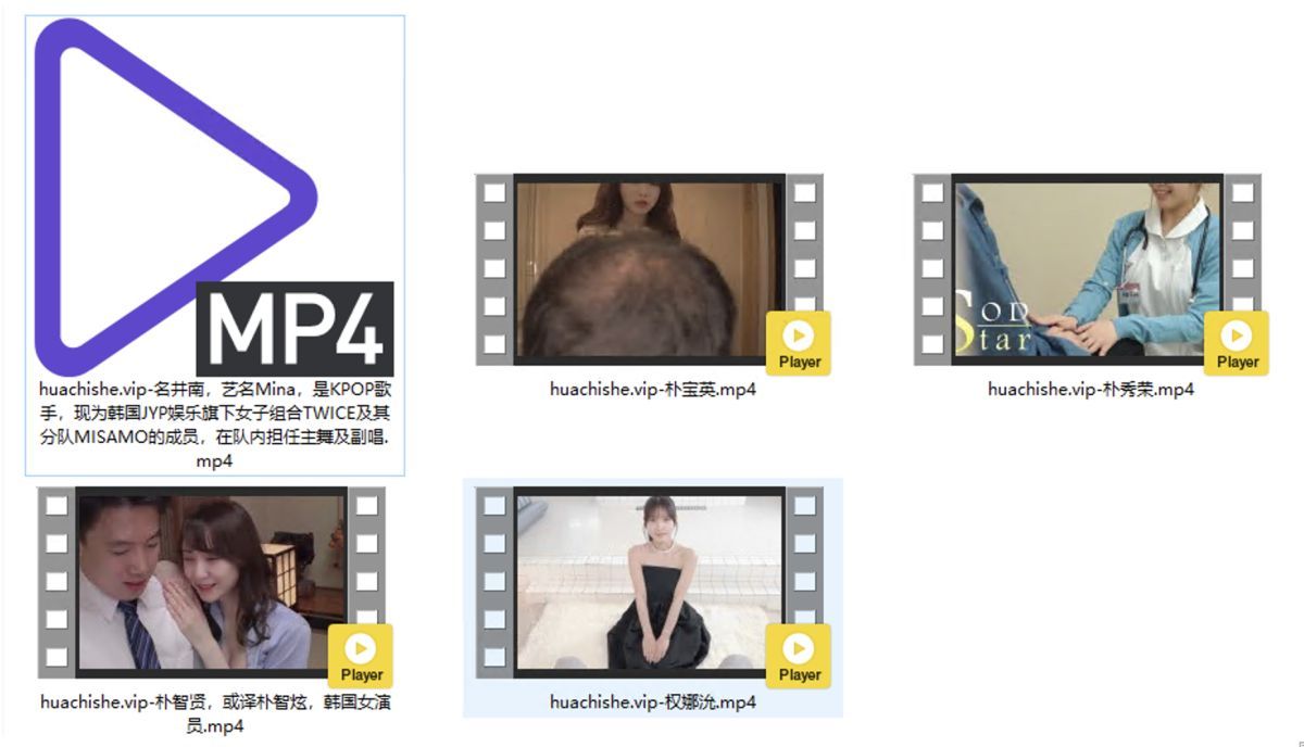 AI换脸视频精选 韩国明星5部合集第四弹精彩截图01