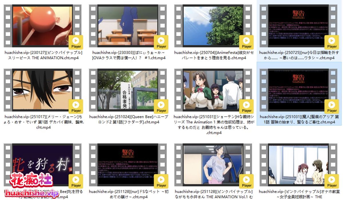 里番合集作品集十一精彩截图01