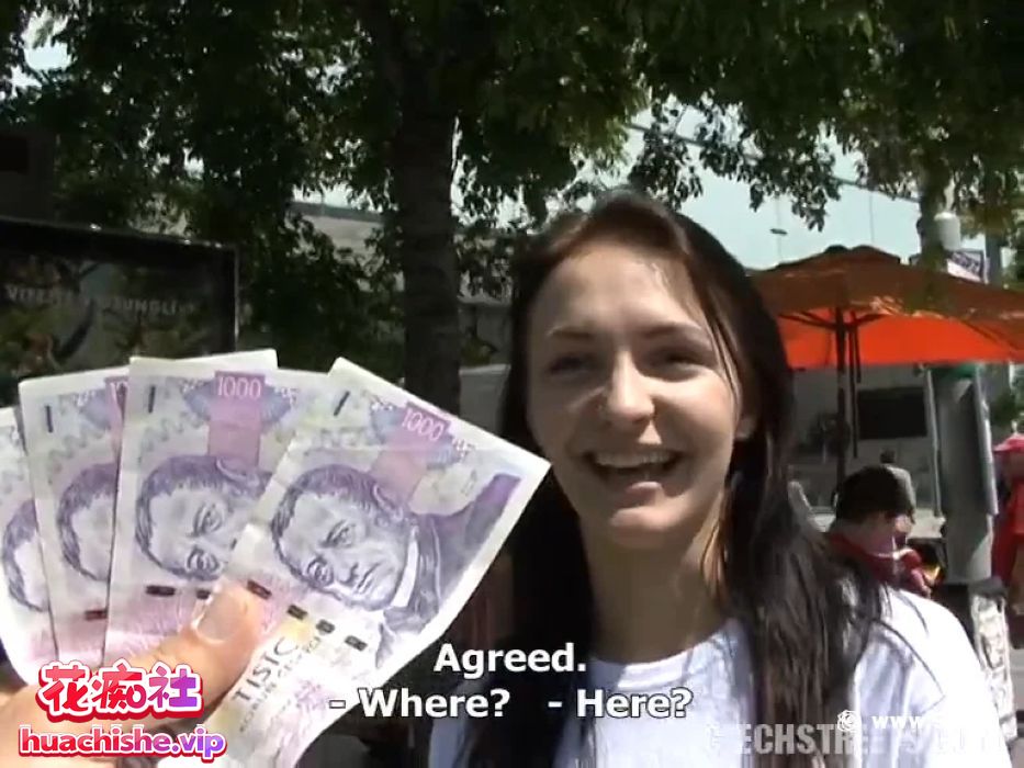 捷克街头金钱搭讪Publicagent 全系列最全合集精彩截图16