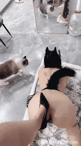 仙鹤1128 微胖女女调教制服丝袜诱惑精彩截图04