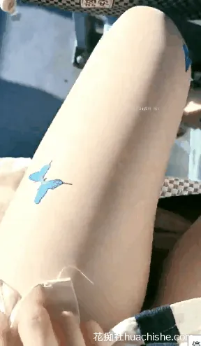 糖小果儿 户外露出跳蛋自慰喷水精彩截图04