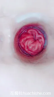 喷的水超多 熟女疯玩骚逼小穴肛门精彩截图10