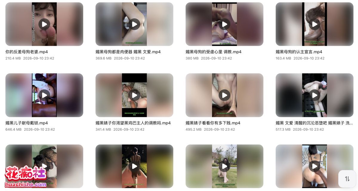 绿猫剪辑 大帅剪辑 绿帽侠 剪辑作品精彩截图08